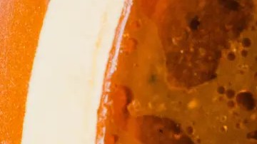 receta de birria de res mexicana