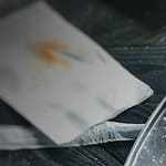 receta pescado zarandeado