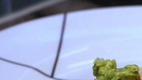 receta de tacos de chilorio