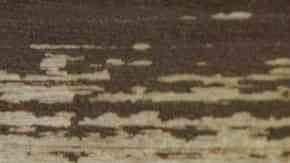 arroz facil con espinacas