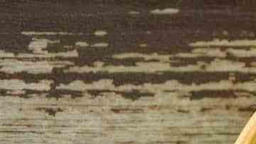 arroz facil con espinacas