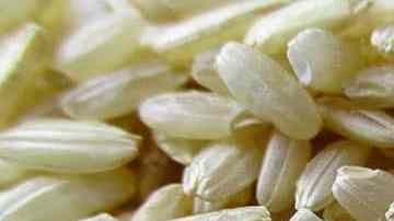 arroz integral casero