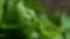 bowls con salsas caseras