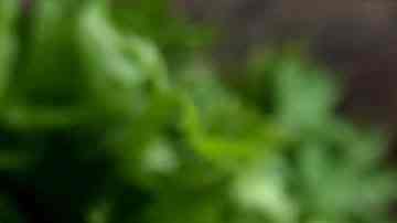 bowls con salsas caseras