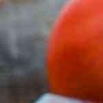 bandeja con lasaña de atun