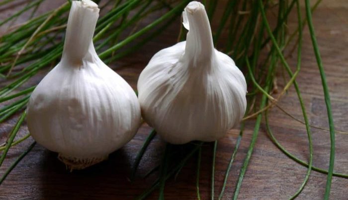recetas con ajo