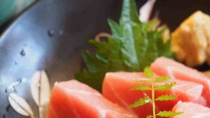 sashimi