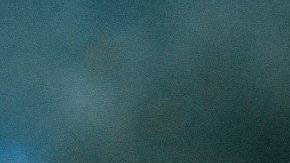 plato con arroz a la jardinera