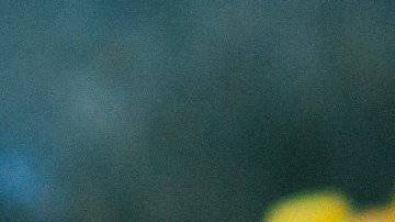 plato con arroz a la jardinera