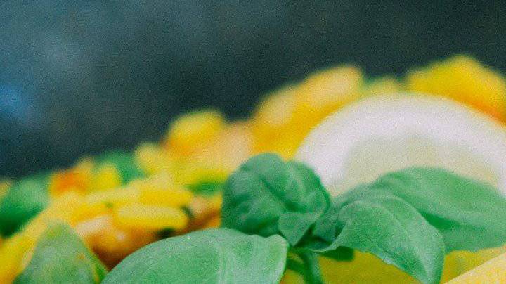 plato con arroz a la jardinera