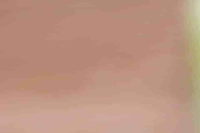 plato con espaguetis de calabacin