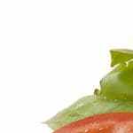 plato de merluza rebozada con ensalada