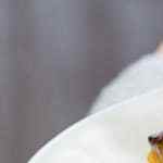 plato de arroz con conejo