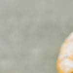 ensaimada mallorquina casera