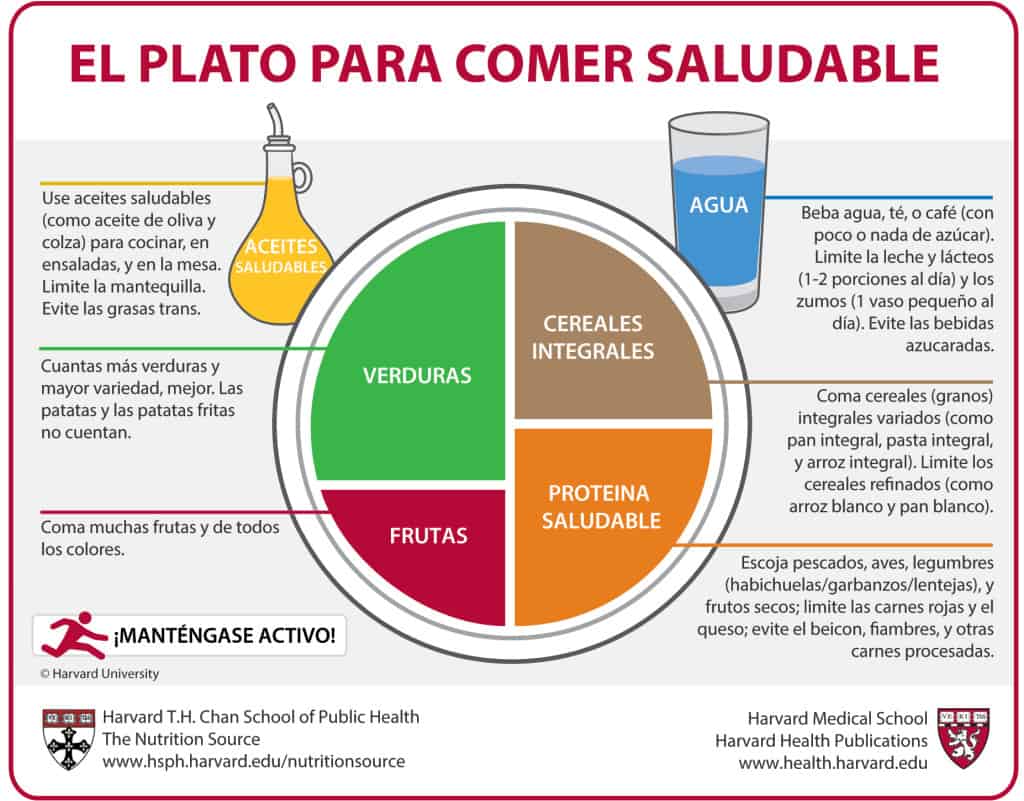 plato-harvard-modelo-alimenticio