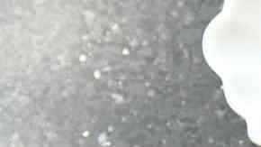 rollitos de primavera chinos