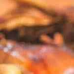 cochinillo al horno estilo segoviano