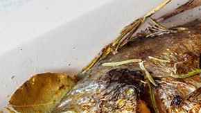 bandeja con besugo al horno