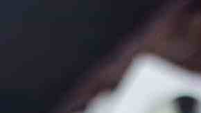 recetas con avena caseras