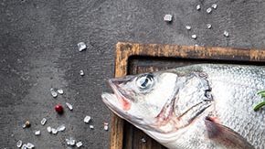 preparando lubina a la sal