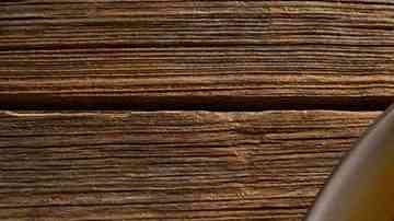 sartén paellera con arroz del senyoret