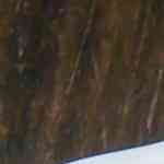 plato con huevos rellenos de atún decoradoc con alcaparras y tomates