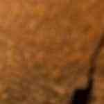 salsa chimichurri casera