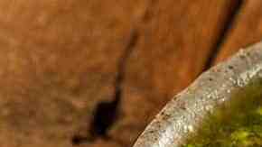 salsa chimichurri casera