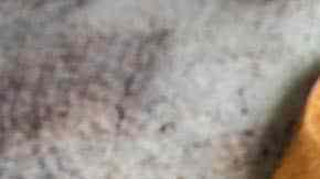 bowl con salsa de maiz casera