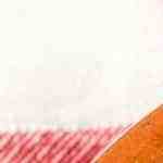 cazuela de champiñones al ajillo