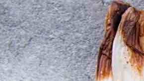 dorada al horno lista para comer