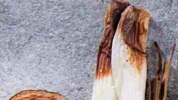 dorada al horno lista para comer