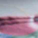 plato con pabellón criollo venezolano