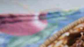 plato con pabellón criollo venezolano