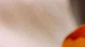 cachitos rellenos de jamón venezolanos