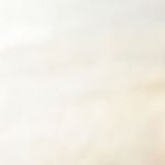 tequeños venezolanos