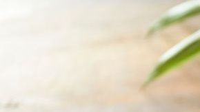 tequeños venezolanos