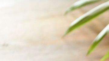 tequeños venezolanos