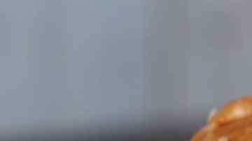 hamburguesa de pollo casera