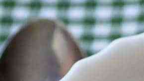 crema de apio casera