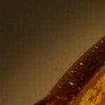 salsa de curry casera