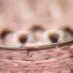 Receta de pan en sartén