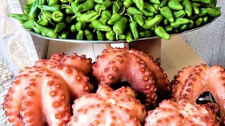 pulpo cocido