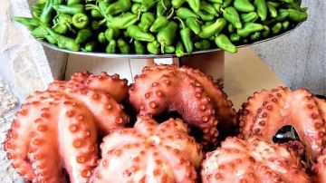 pulpo cocido