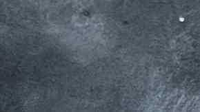 Freepik: lomo de cerdo