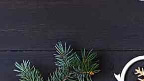 cerdo vs pavo: cual escoger