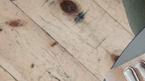 excesos de fin de año