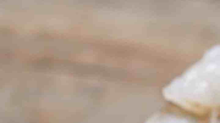 Foto de Comida creado por devmaryna