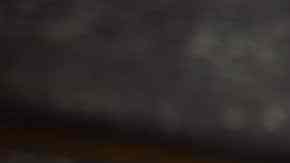 Manzanilla por Pixabay