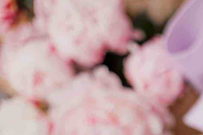 arroz con leche y chocolate casero